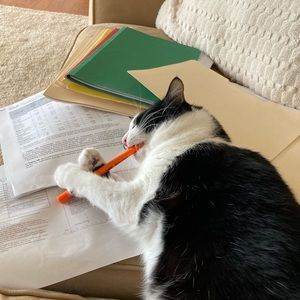 Meet your Posher, Melissa